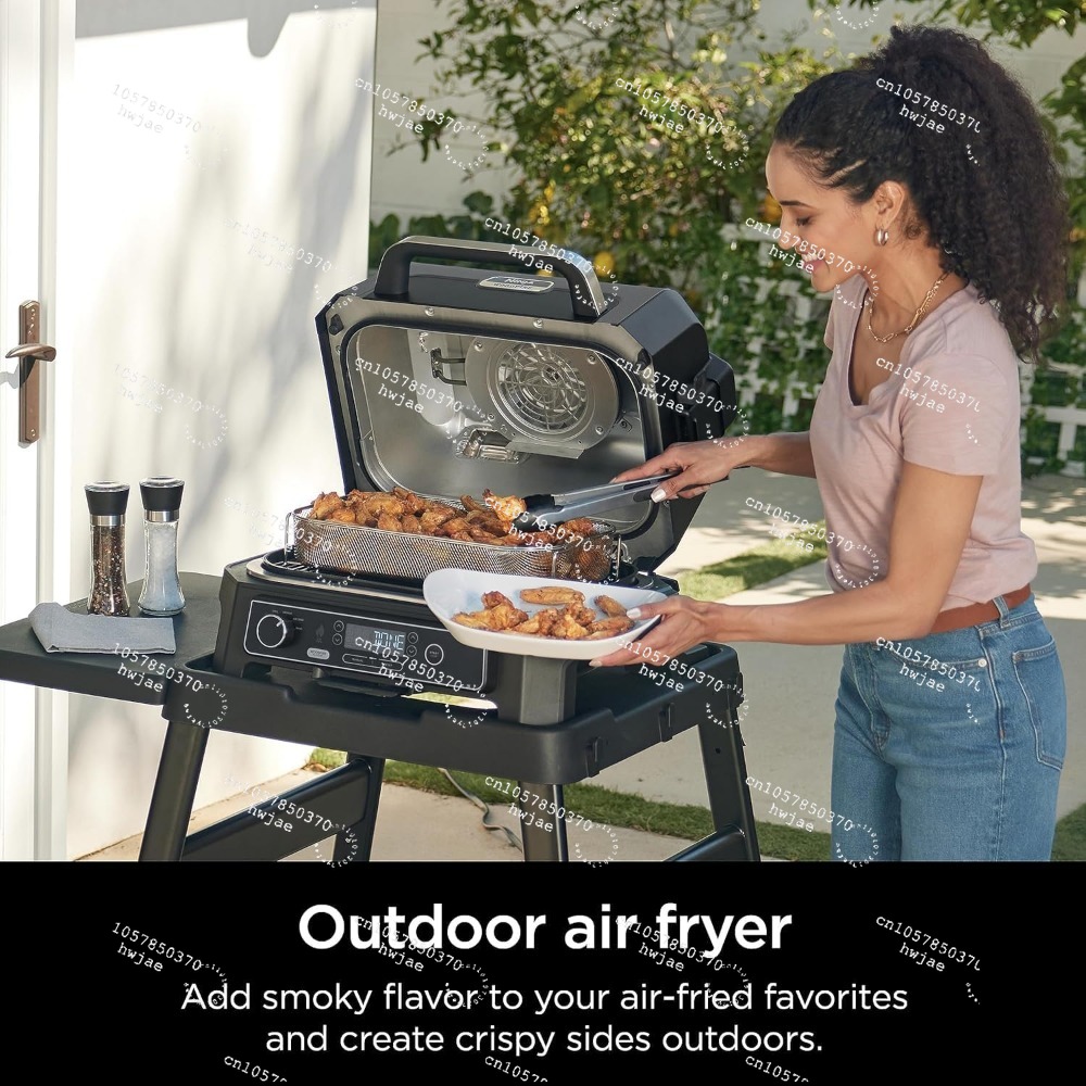 Ninja Wood--ireProXL 4-w-1 Gri – Electric Smoker Bbq recenzja i cena